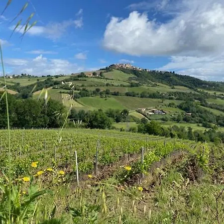 Bed & Breakfast Il Borghetto Montedinove